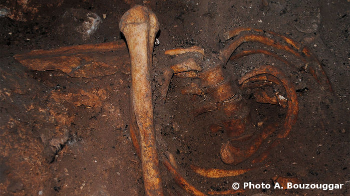 Squelette de Taforalt dat de 15000 ans