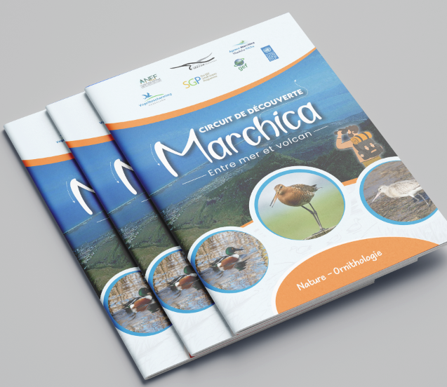 Guide Marchica