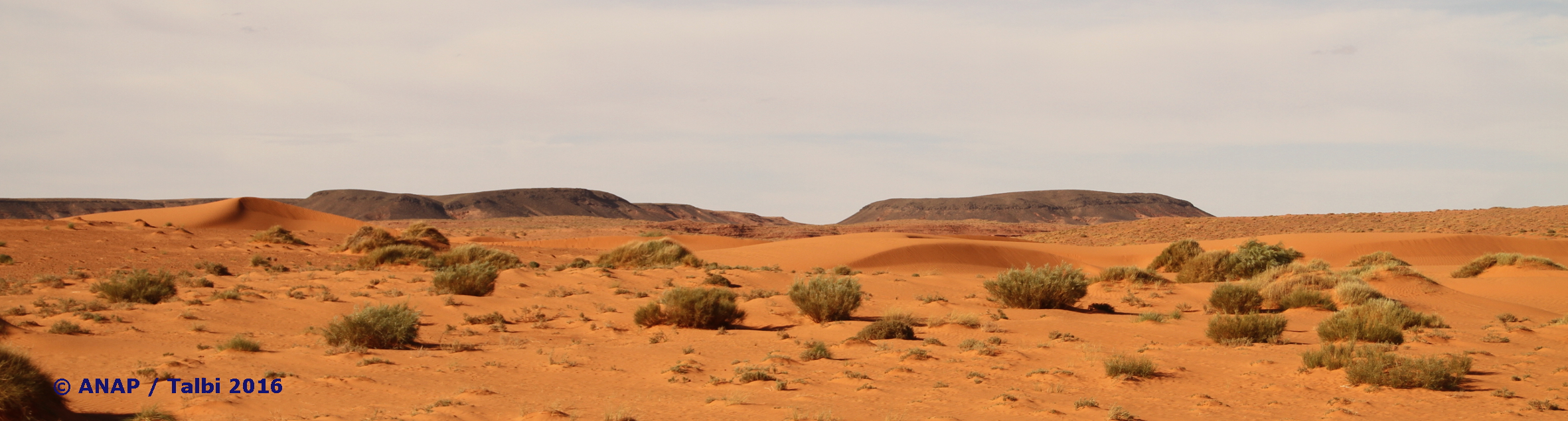 Paysages desertiques