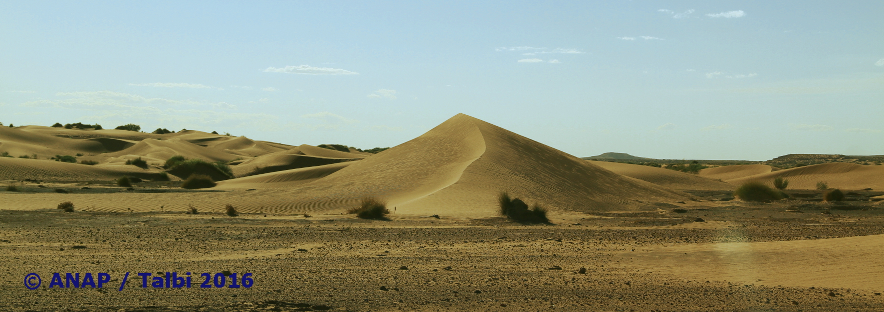 Encore des dunes