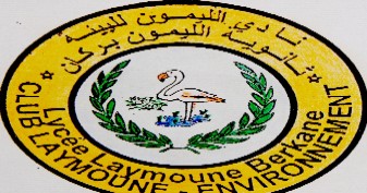 Logo Club Laymoune