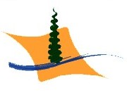 Logo DREFO