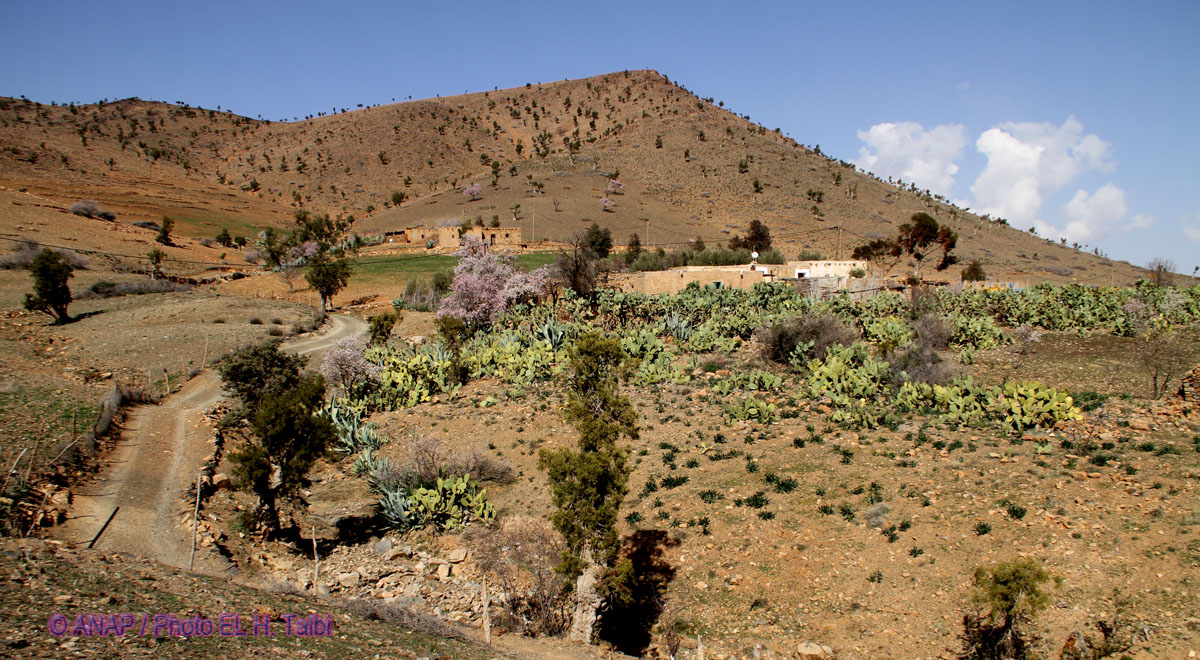 Environs de la Mine de Sidi Lahssen