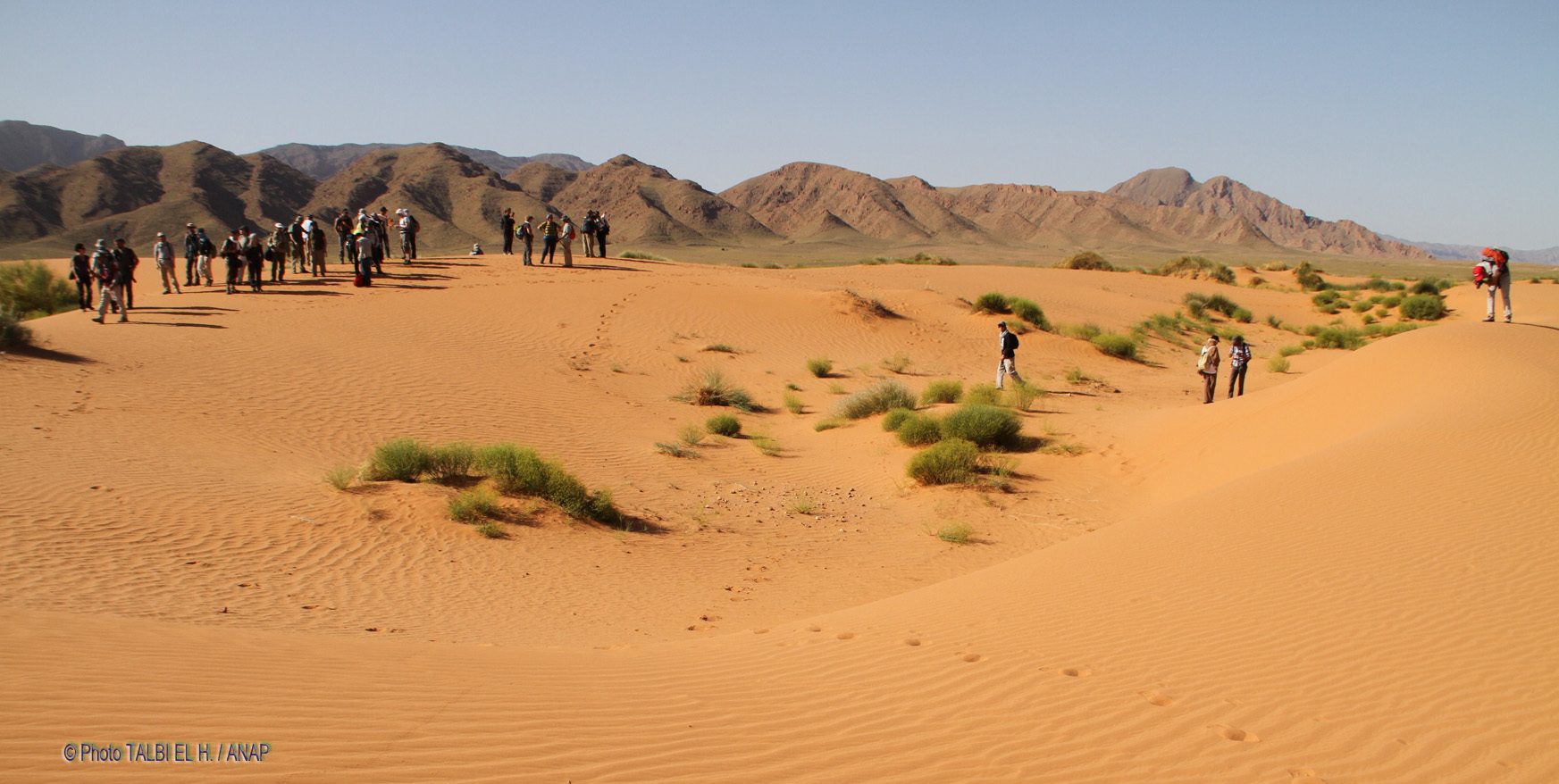 Al Hallouf : les dunes