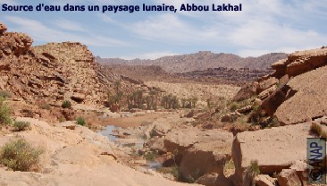 Source d'eau,Abbou Lakhal