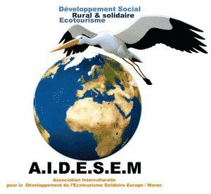 Logo AIDESEM